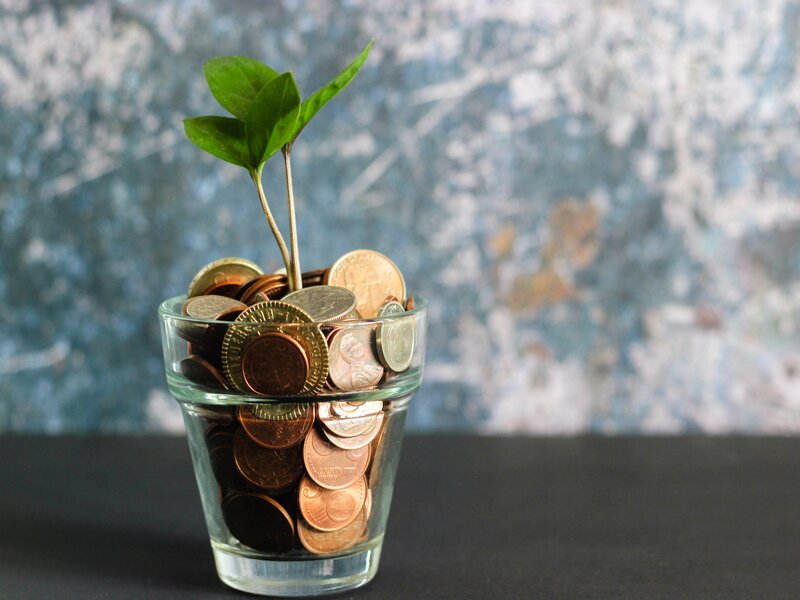 Money in plant pot