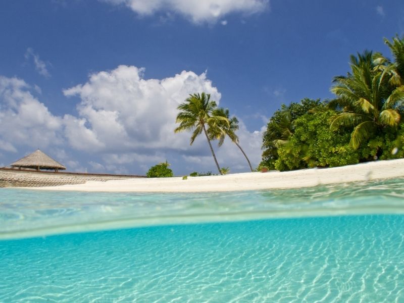 Beaches in Hawaii and Fiji