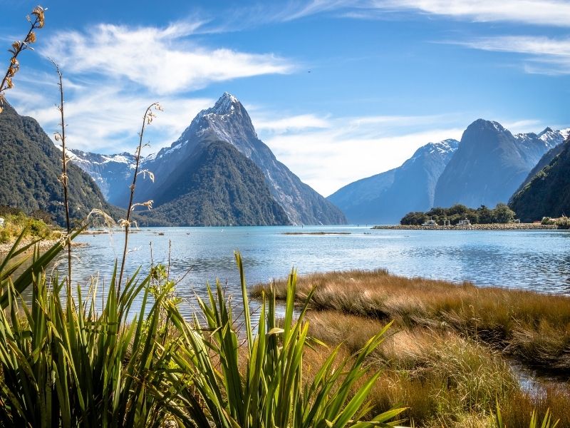 New Zealand most famous places Milford Sound