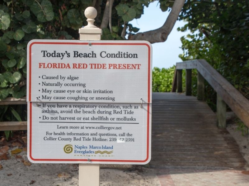 Red Tide is a phenomenon that occasionally causes Sanibel beaches to close. 