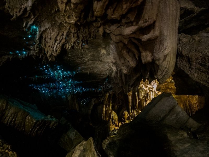 New Zealand most famous places Glowworm Caves