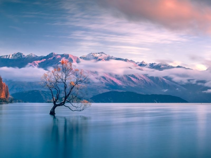 Wanaka, New Zealand most famous places