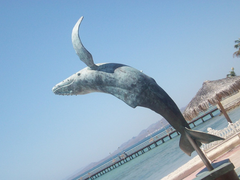 Whale statue in La Paz