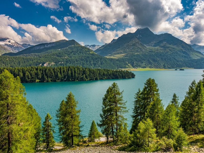 This image shows woods next to a lake with mountains in the background.