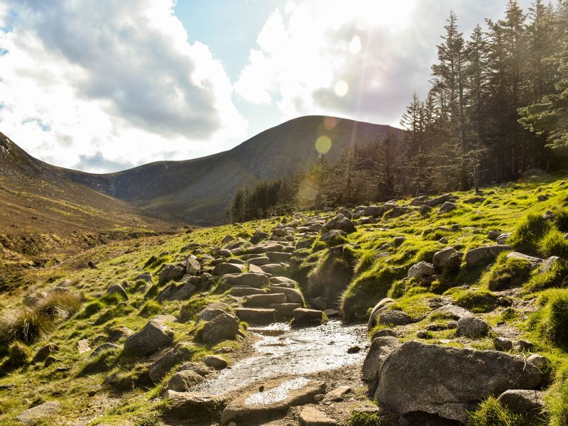 A Slieve Donard hike is a scenic thing to do in Northern Ireland. This image shows a rocky path leading to a forest and mountain.