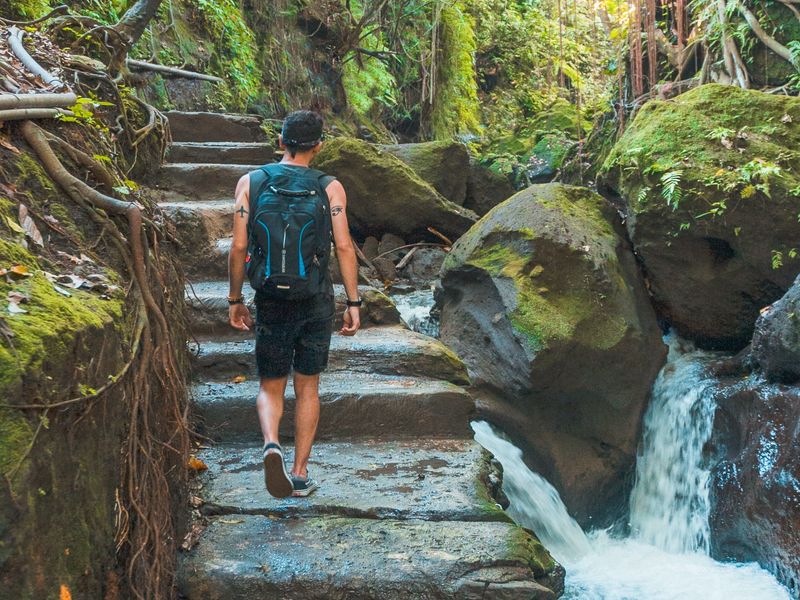 This image shows a man with tattoos on both his arms and a backpack walking up stone steps. Next to him, there is a small waterfall and tree roots clinging to the rocks.