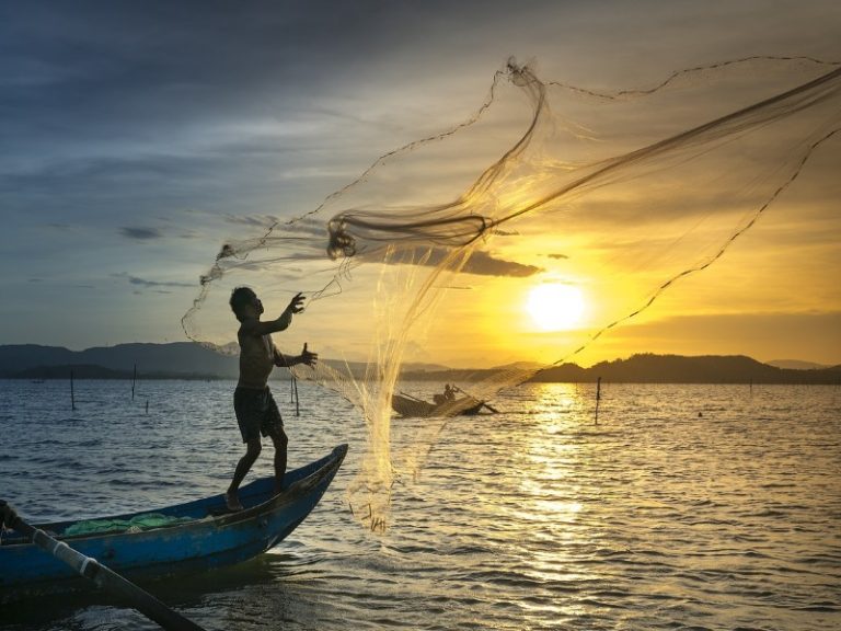 La Paz Best Fishing Months: The Ultimate Guide to Fishing in La Paz