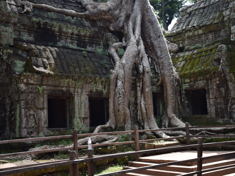 Angkor Archaeological Site