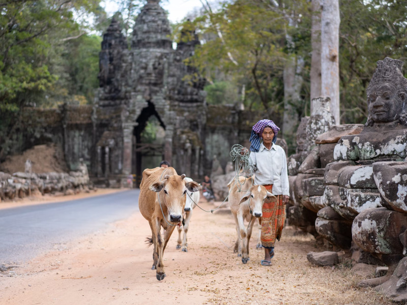 Woman in Cambodia