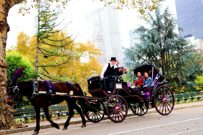 Central Park Horse Carriage Ride Short Loop (Up to 4 Adults)) - The Guide and Personal Experience
