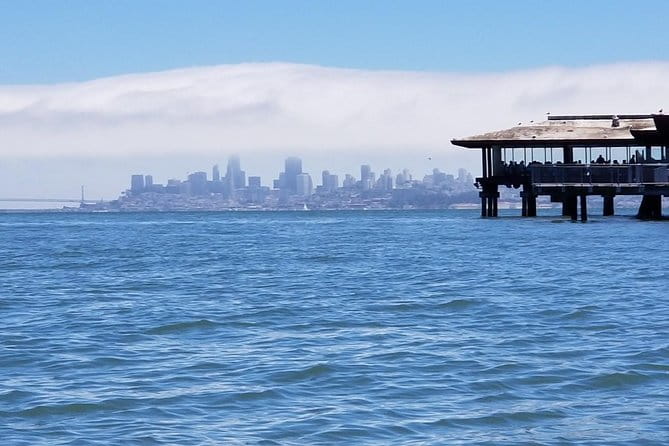 Combo Small-Group Tour: SF City plus Muir Woods & Sausalito - What Travelers Say About This Tour
