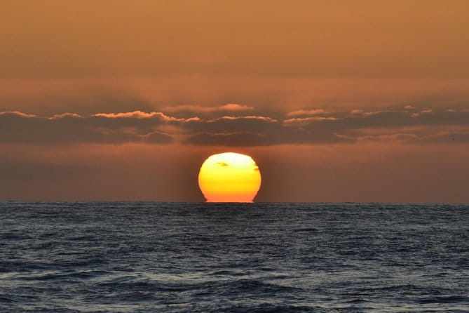 Dolphin and Whale Watching Sunset Cruise - The Value of This Experience