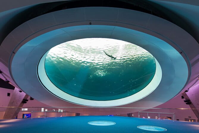 Frost Science Museum Admission Tickets - Practical Tips for Your Visit