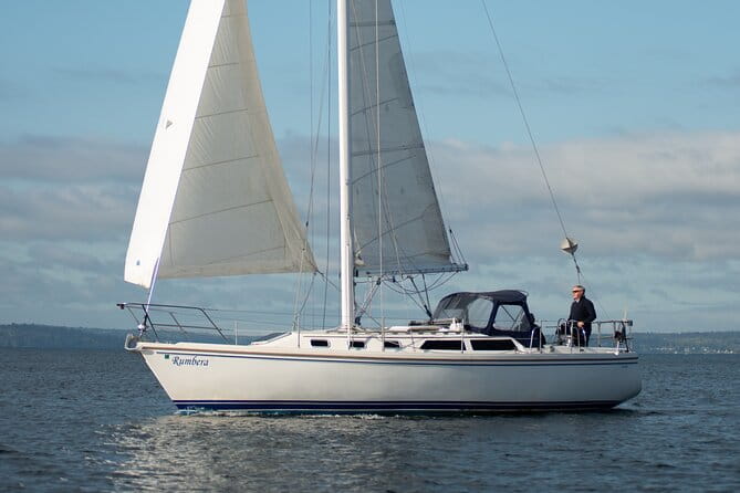 Guided Seattle Sailing Adventure from Bainbridge Island - Authentic Perspectives from Past Guests