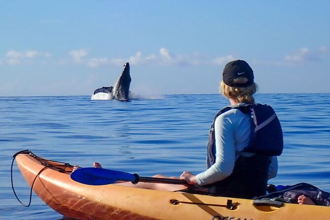 Kayak and Whale Watching Tour - The Sum Up: Who Is This Tour Perfect For?