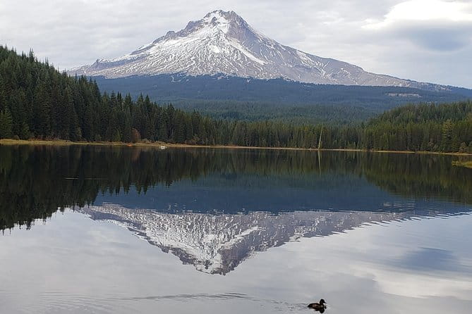 Mt. Hood Loop Tour from Portland - Why Travelers Rave About This Tour