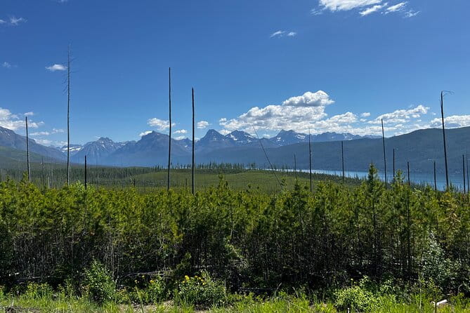 Nature Walk in Glacier National Park - Why It Stands Out