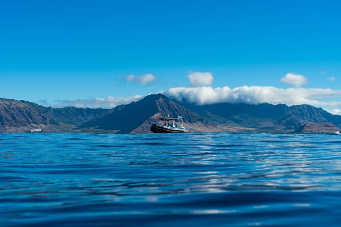 Oahu Swimming with Dolphins Speedboat Adventure - What Sets This Tour Apart?