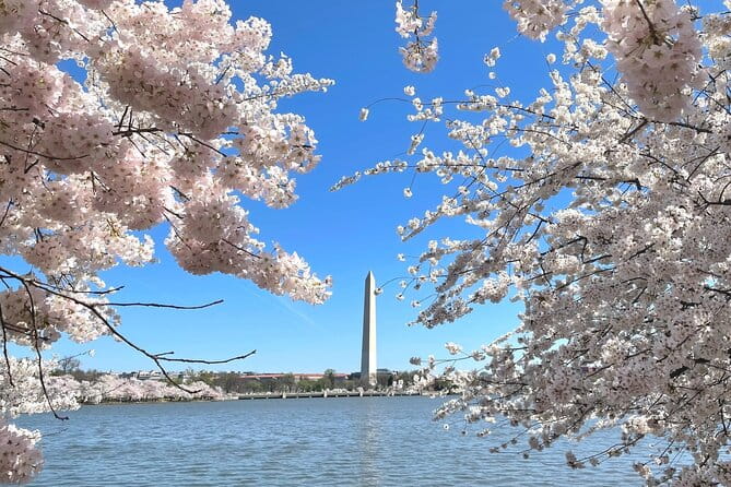 Private & Customizable Tour of Washington DC - Authentic Experiences and Real Traveler Opinions