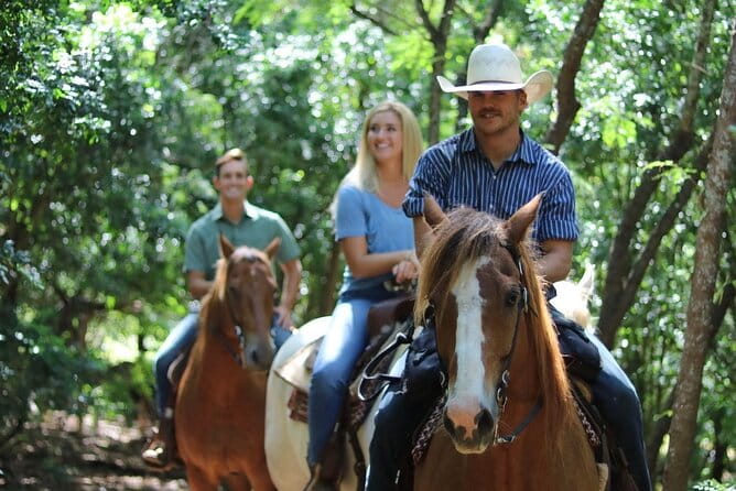 Private Sweetheart Horseback Ride - The Value of This Experience