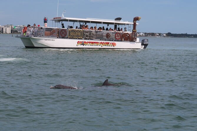 Shark Teeth and Shells, Dolphin and Shelling Tour Boat Clearwater Beach - Group Size and Logistics