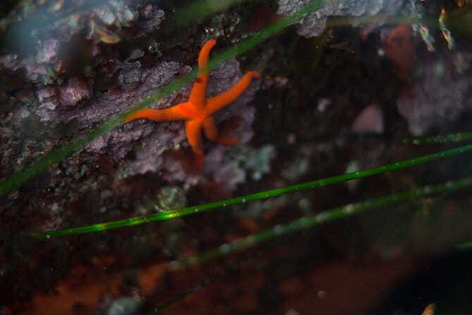 Snorkel Tour at Magic Island - The Value of Guided Support and Small Groups