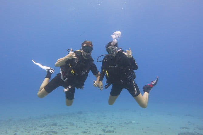 Turtle & Shark Scuba Dive in Lahaina: Certified - What We Loved About the Experience