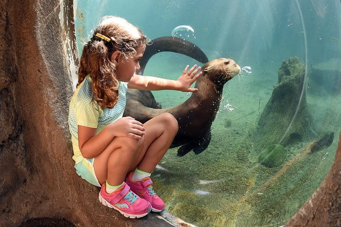 Zoo Miami Ticket with Optional Upgrade - Who Will Love Zoo Miami?