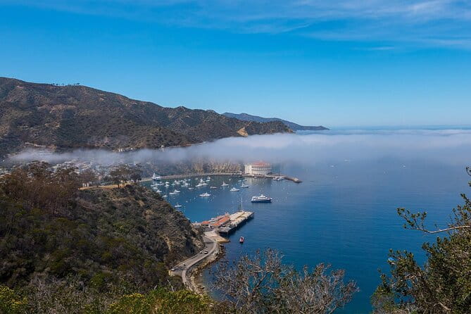 2 hour Inside Adventure Tour on Catalina Island - Exploring the Catalina Island Interior: A Balanced Look at the Inside Adventure Tour