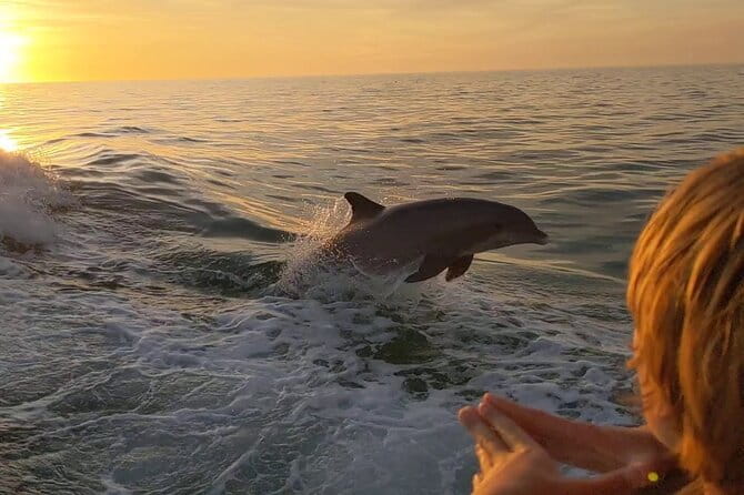 2 Hour Private Dolphin and Sightseeing Tour in Shell Island - An In-Depth Look at the 2 Hour Private Dolphin and Sightseeing Tour in Shell Island