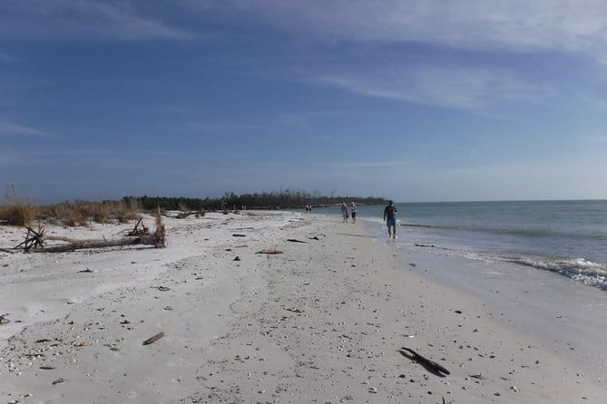 2-hour Shelling Boat Tour in the 10,000 Islands - The Itinerary: What to Expect on This Unique Nature Escape
