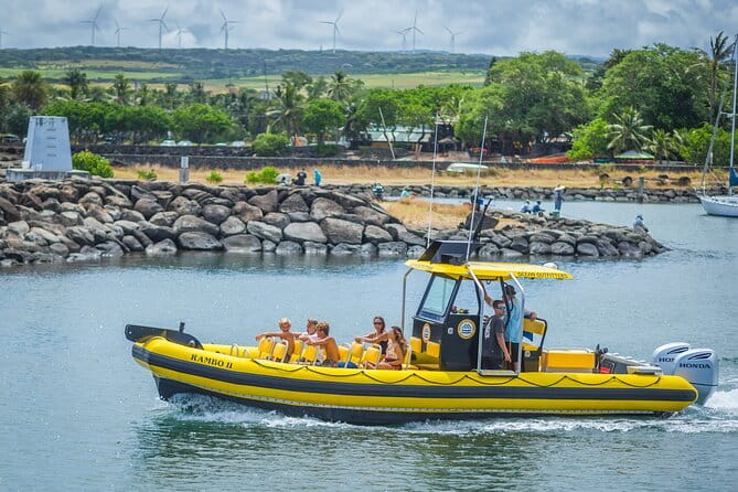 1.5 -Hour Guided Whale and Marine Life Tour - Authentic Reviews: The Good, the Not-So-Good, and the Unexpected