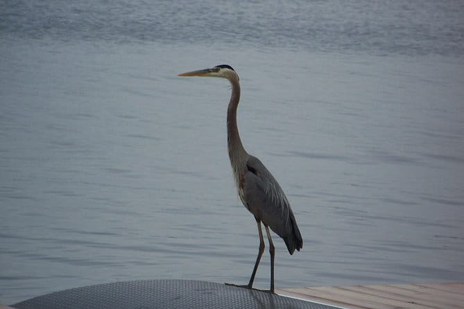1000 Islands Sunset Cruise from Clayton, NY - The Bar and Additional Perks