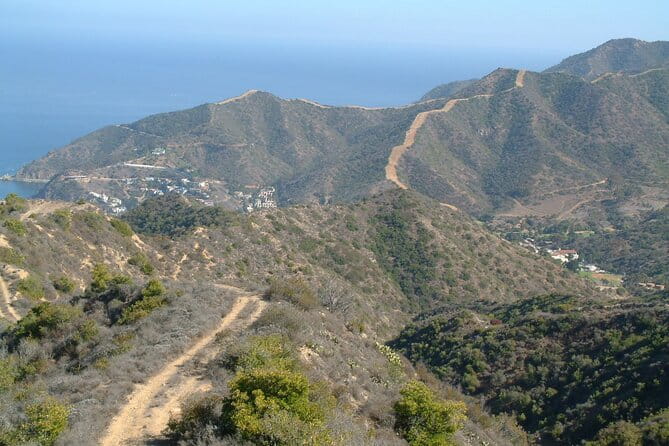 2 hour Inside Adventure Tour on Catalina Island - The Sum Up: Is This Tour Worth It?