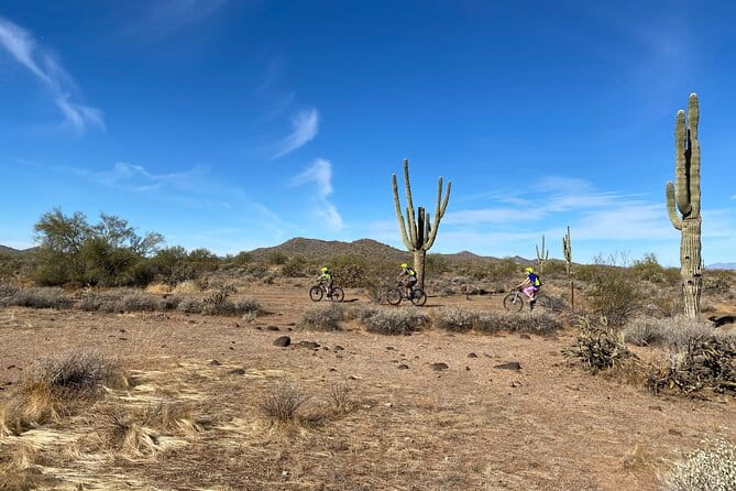 2 Hour Sonoran Desert Private Guided Mountain Bike Tour - The Value for Money