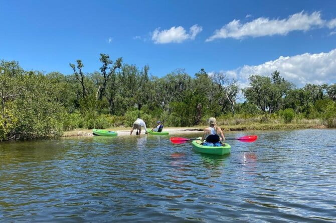 2 Hours Kayak Eco Tour in Tarpon Springs - The Overall Value