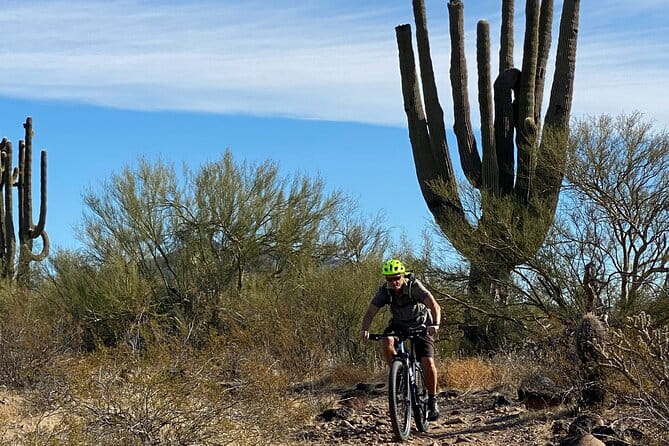 3 Hour Sonoran Desert Private Guided Mountain Bike Tour - Itinerary and Trail Highlights