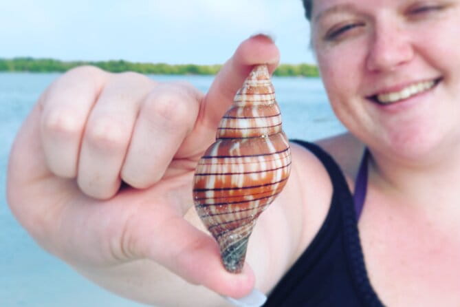 4 Hour Kice Island Shelling Trip - Who Will Love This Tour?
