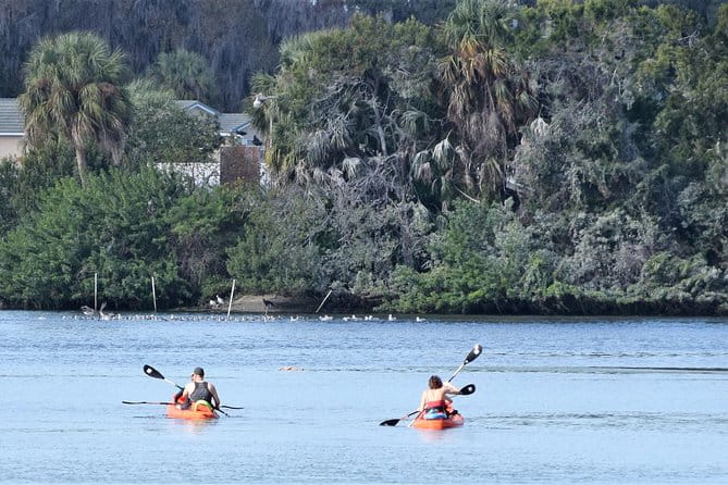 4 Hour Tandem Kayak Rental For Two People In Crystal River, Florida - Pricing & Value