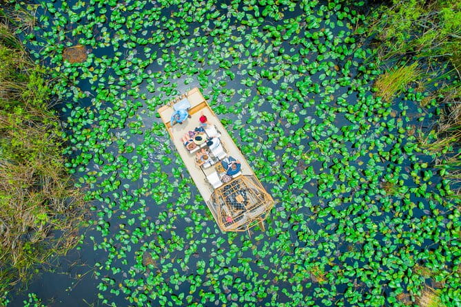 60 min. Everglades Airboat ride & pick-up ,small group +pro guide - The Experience: What Youll Really Be Doing