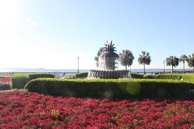 90-Minute Charleston City Sightseeing Bus Tour - Transportation and Group Size