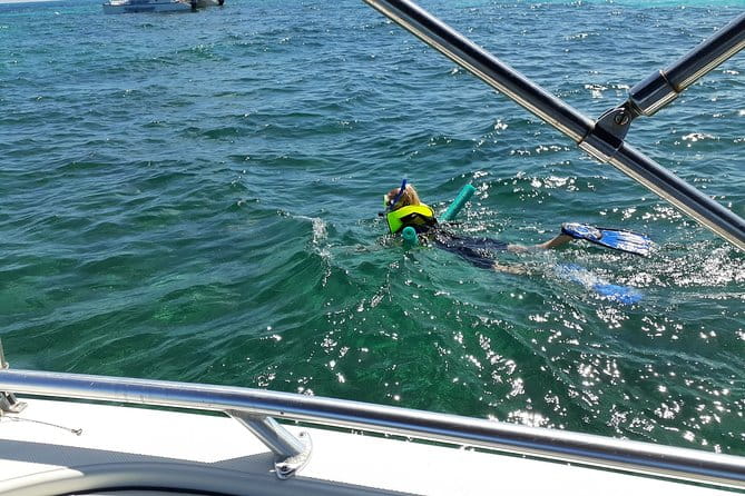 A Unique Private Snorkel Tour of Key Largo - What You Can Expect During the Tour