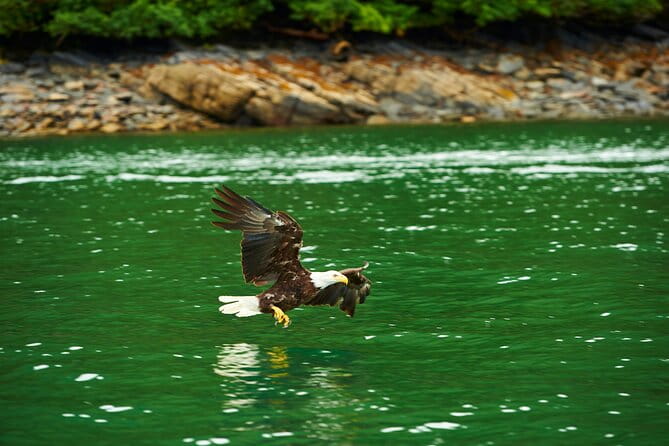 Alaskan Lodge Adventure and Seafeast - FAQs