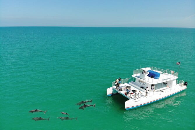 All-Inclusive Sandbar Safari with Dolphin Playground Encounter - Pricing and Value