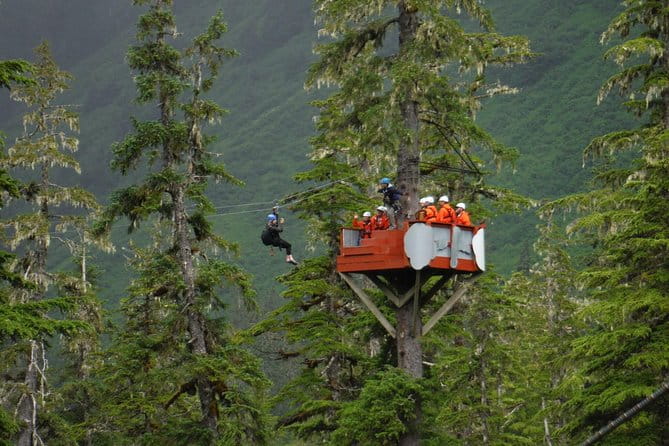 Alpine Zipline Adventure in Juneau, AK - The Itinerary: From Forest Floors to the Sky