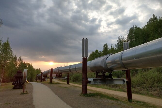 Arctic Circle Full-Day Adventure from Fairbanks - The Transport and Group Size