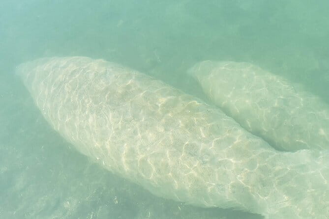 Beginner Friendly Island Snorkeling - Who Will Love This Tour?