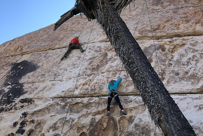 Beginner Group Rock Climbing in Joshua Tree National Park - Practical Considerations