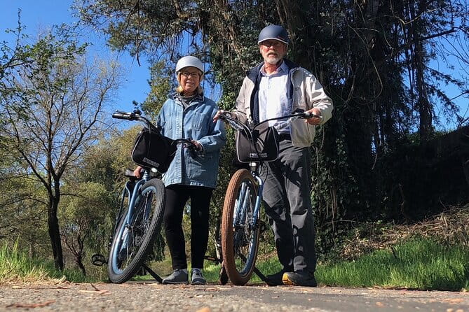 Best E-Bike Rental! Wine country fun - The Bottom Line: Is It Worth It?