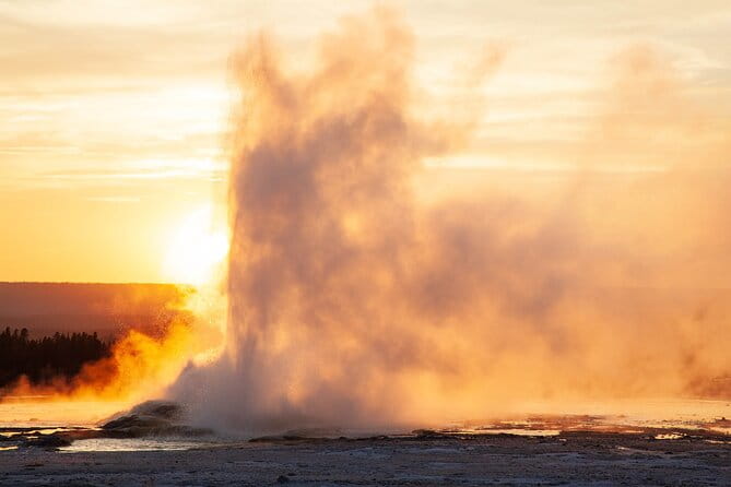 Best of Yellowstone Guided Tour from Bozeman - Private Tour - What Makes This Tour Stand Out?